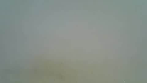 Snapshot of afronubians chatting on 6, 3, 2025 afronubians online show from 6, 3, 2025