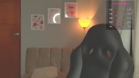 Cat online show from 4, 3, 2026