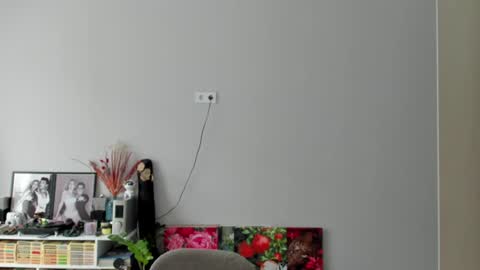 Snapshot of ailey_chao chatting on 19, 7, 2026 Ailey online show from 19, 7, 2026