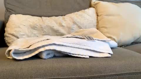 Snapshot of airmyles92 chatting on 6, 11, 2025 canadianboy92 online show from 6, 11, 2025