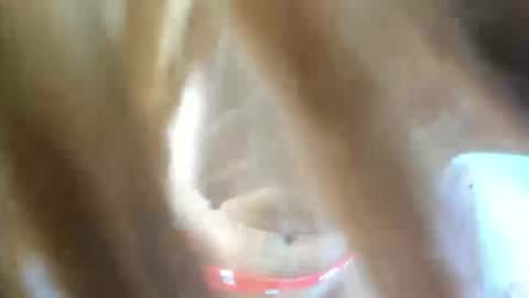 Snapshot of aisha_violeht chatting on 25, 2, 2026 aisha_violeht online show from 25, 2, 2026