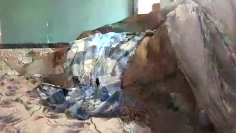 Snapshot of ajeeb_najeeb chatting on 16, 12, 2024 BigHairyGuy online show from 16, 12, 2024