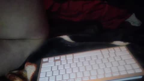 Snapshot of aken4it chatting on 17, 10, 2025 aken4it online show from 17, 10, 2025