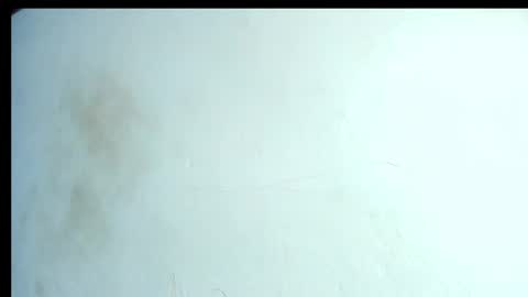 Snapshot of alahia66 chatting on 21, 4, 2026 alahia66 online show from 21, 4, 2026
