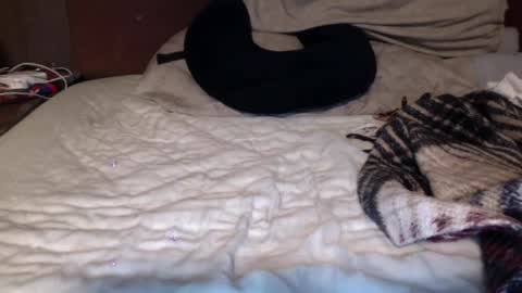 albertalbert9 online show from 13, 12, 2024