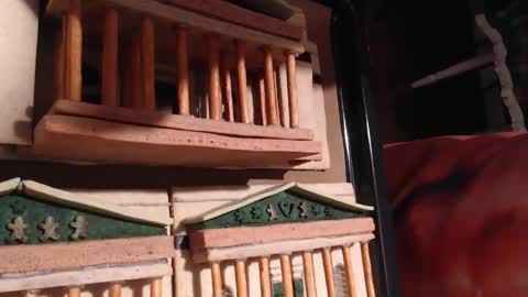 Alex Amazing online show from 28, 1, 2025