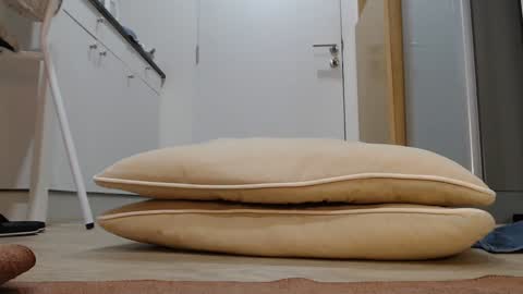 Snapshot of alex_nicha chatting on 5, 11, 2025 Nicha online show from 5, 11, 2025