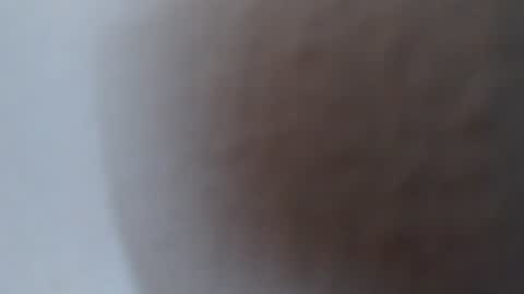 Alexamdergal online show from 2, 7, 2026