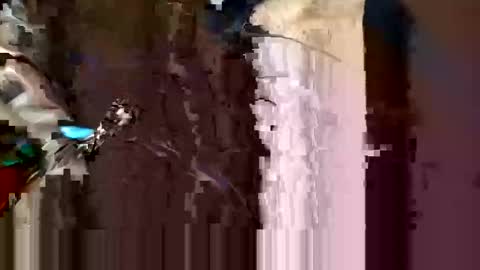 Snapshot of alexey932 chatting on 10, 11, 2025 alexey932 online show from 10, 11, 2025