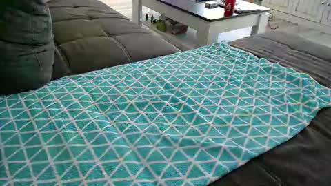 Doggystyle online show from 24, 12, 2024