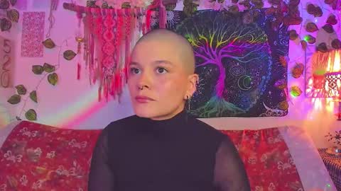 Alex online show from 14, 1, 2026