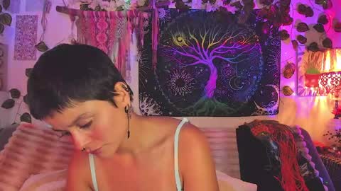 Alex online show from 25, 4, 2026