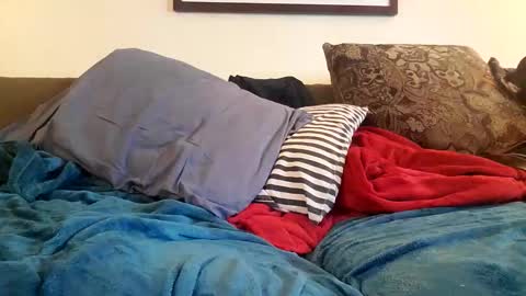 Snapshot of alexinside_you chatting on 20, 10, 2025 Alexinside you online show from 20, 10, 2025