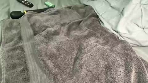 Snapshot of alexis_696969 chatting on 13, 12, 2024 Alexis online show from 13, 12, 2024