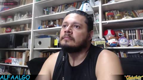 Alfa online show from 24, 2, 2026