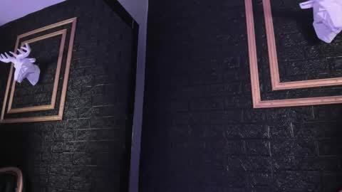 Snapshot of alice_mjs chatting on 1, 3, 2025 alice_mjs online show from 1, 3, 2025