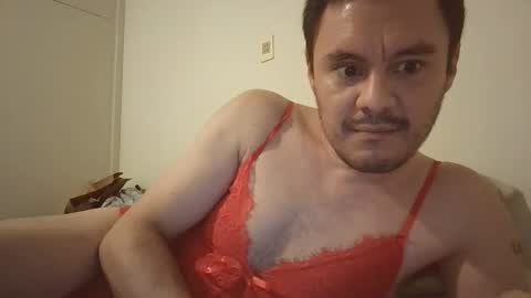 Alice online show from 3, 4, 2026