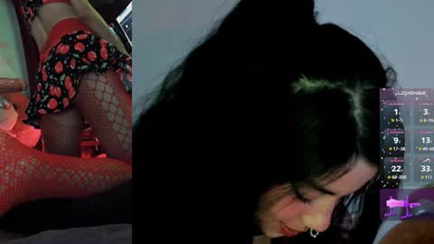 Snapshot of alicekingdom chatting on 19, 12, 2024 Alicekingdom online show from 19, 12, 2024