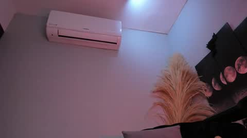 ALICE  online show from 15, 1, 2026