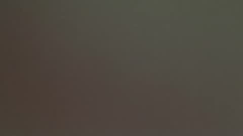 spaceprincess online show from 14, 3, 2026