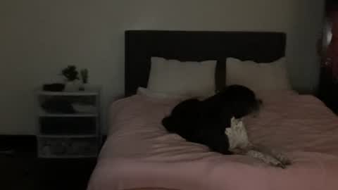 spaceprincess online show from 22, 4, 2026