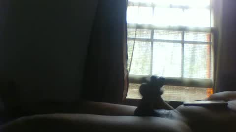 Snapshot of allbermy chatting on 11, 11, 2025 allbermy online show from 11, 11, 2025