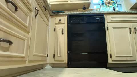 wishlist on bio online show from 4, 12, 2025