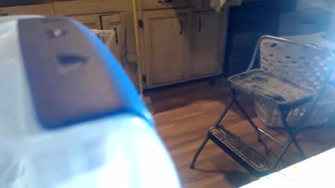 allwolf0323 online show from 6, 4, 2026