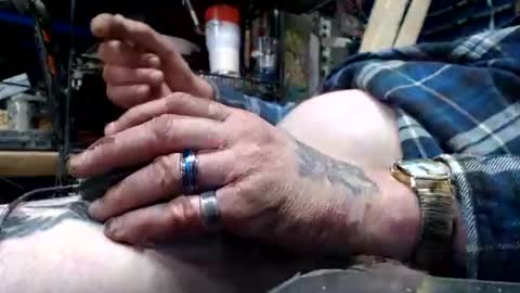 allwolf0323 online show from 15, 4, 2026