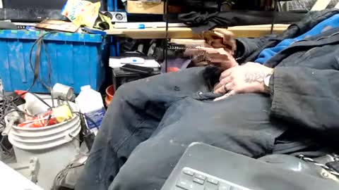 allwolf0323 online show from 17, 4, 2026