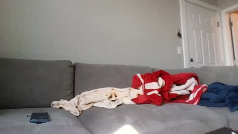 Snapshot of allylove2626 chatting on 9, 9, 2025 allylove2626 online show from 9, 9, 2025