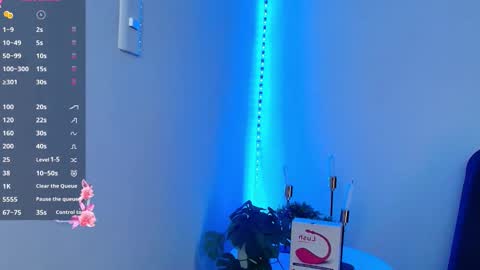 allymdo online show from 24, 11, 2025