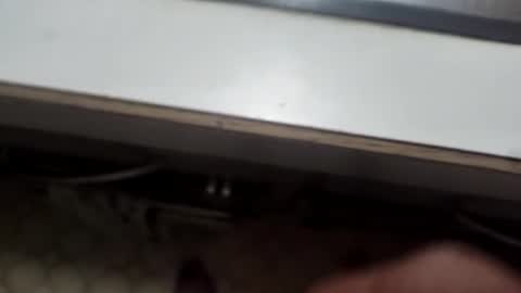 alostmale online show from 8, 12, 2024