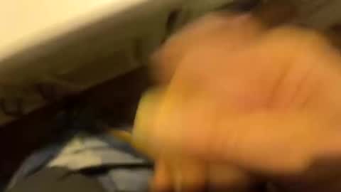 alostmale online show from 31, 1, 2026