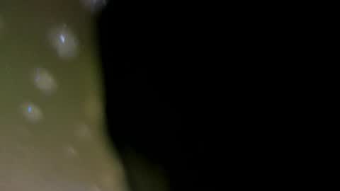 alotta_titties online show from 5, 2, 2026