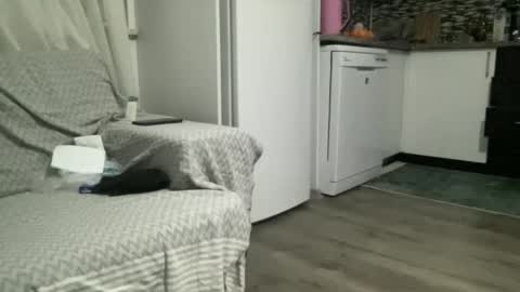 Snapshot of alphandre chatting on 22, 2, 2025 AlphAndre online show from 22, 2, 2025