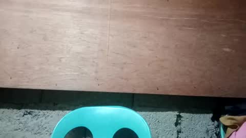 altheahot_asian online show from 19, 12, 2024