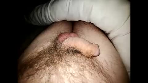 Snapshot of altirando3 chatting on 23, 12, 2024 gordy2263 online show from 23, 12, 2024