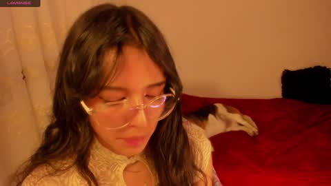 . .  online show from 1, 1, 2025