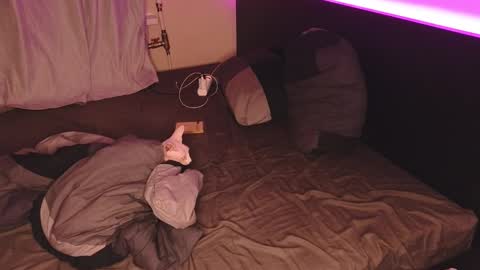 Snapshot of alvin__main chatting on 20, 12, 2024 Alvin Puska -- online show from 20, 12, 2024