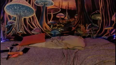 alyssaarcane online show from 1, 4, 2026