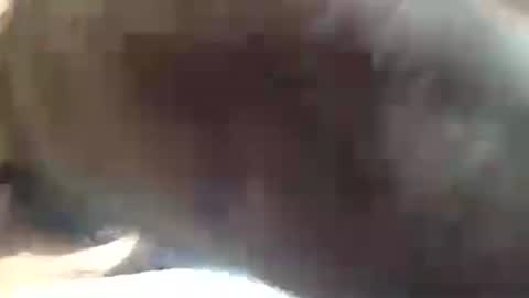 Snapshot of amandapanda1 chatting on 19, 7, 2026 amandapanda1 online show from 19, 7, 2026