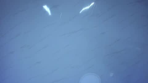 Emily online show from 31, 1, 2026