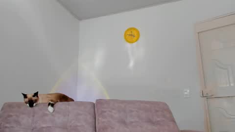 Snapshot of amatiistur chatting on 15, 2, 2025 Tammy online show from 15, 2, 2025