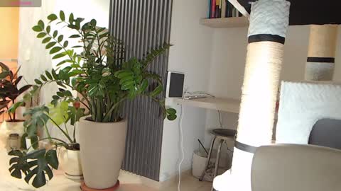 Snapshot of ambarhill chatting on 22, 1, 2025 Ambar online show from 22, 1, 2025