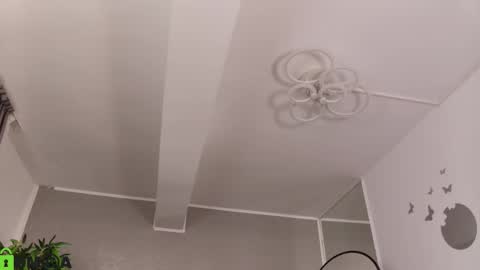 Snapshot of amberrosewood chatting on 26, 2, 2026 AmberRosewood online show from 26, 2, 2026