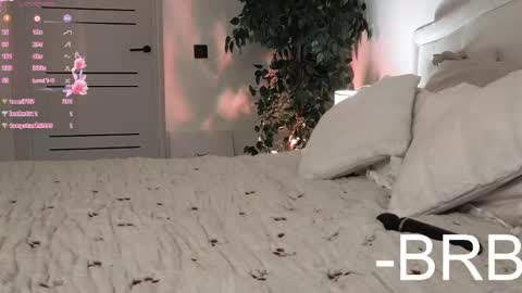 Amber online show from 16, 4, 2026