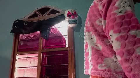 Snapshot of ameli_and_lucas chatting on 14, 11, 2025 Amelia Lucas online show from 14, 11, 2025