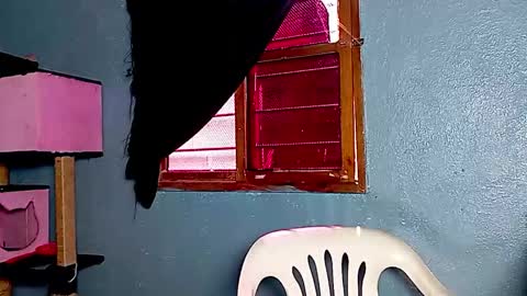 Snapshot of ameli_and_lucas chatting on 17, 11, 2025 Amelia Lucas online show from 17, 11, 2025