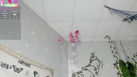 Snapshot of ameli_povilainn chatting on 14, 2, 2026 Ameli online show from 14, 2, 2026